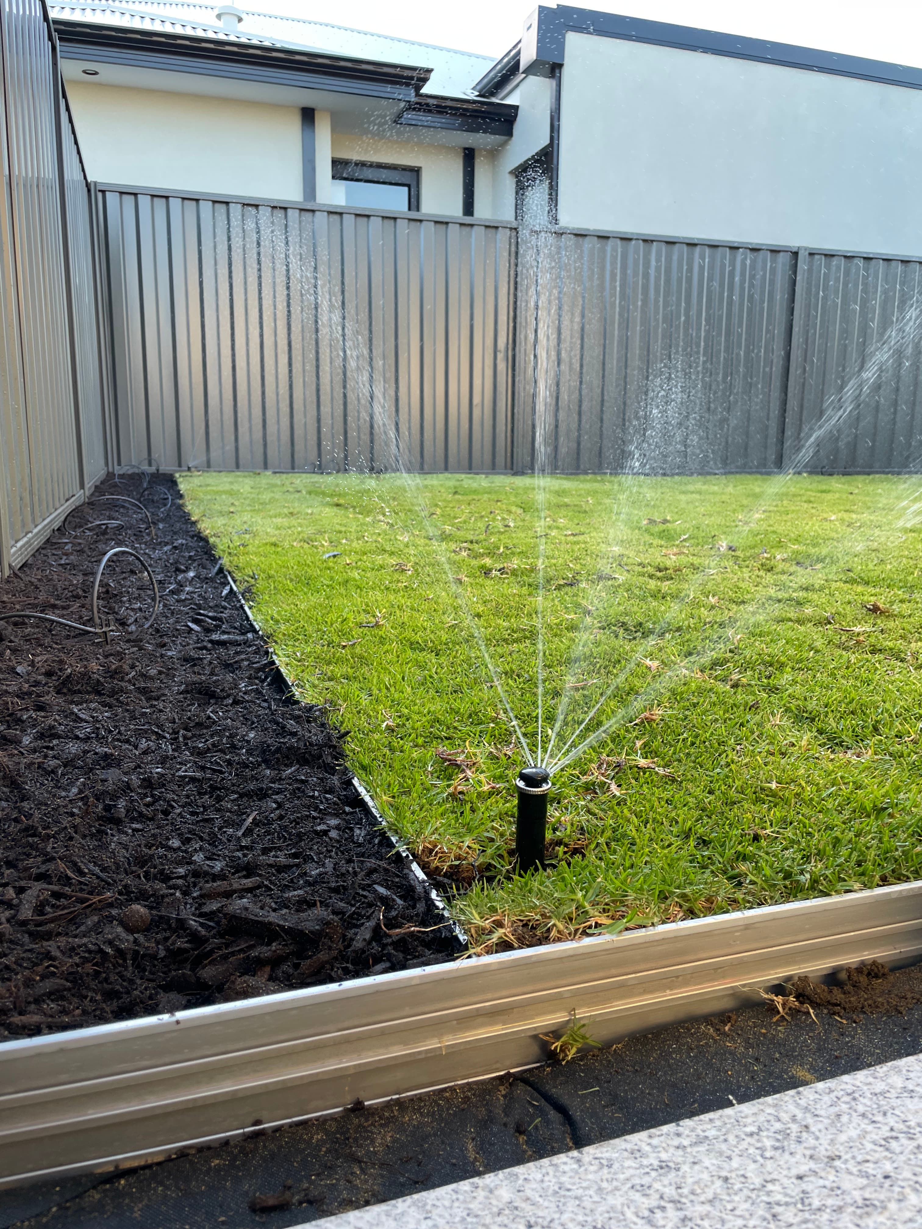 Rolled turf being installed across a prepared yard